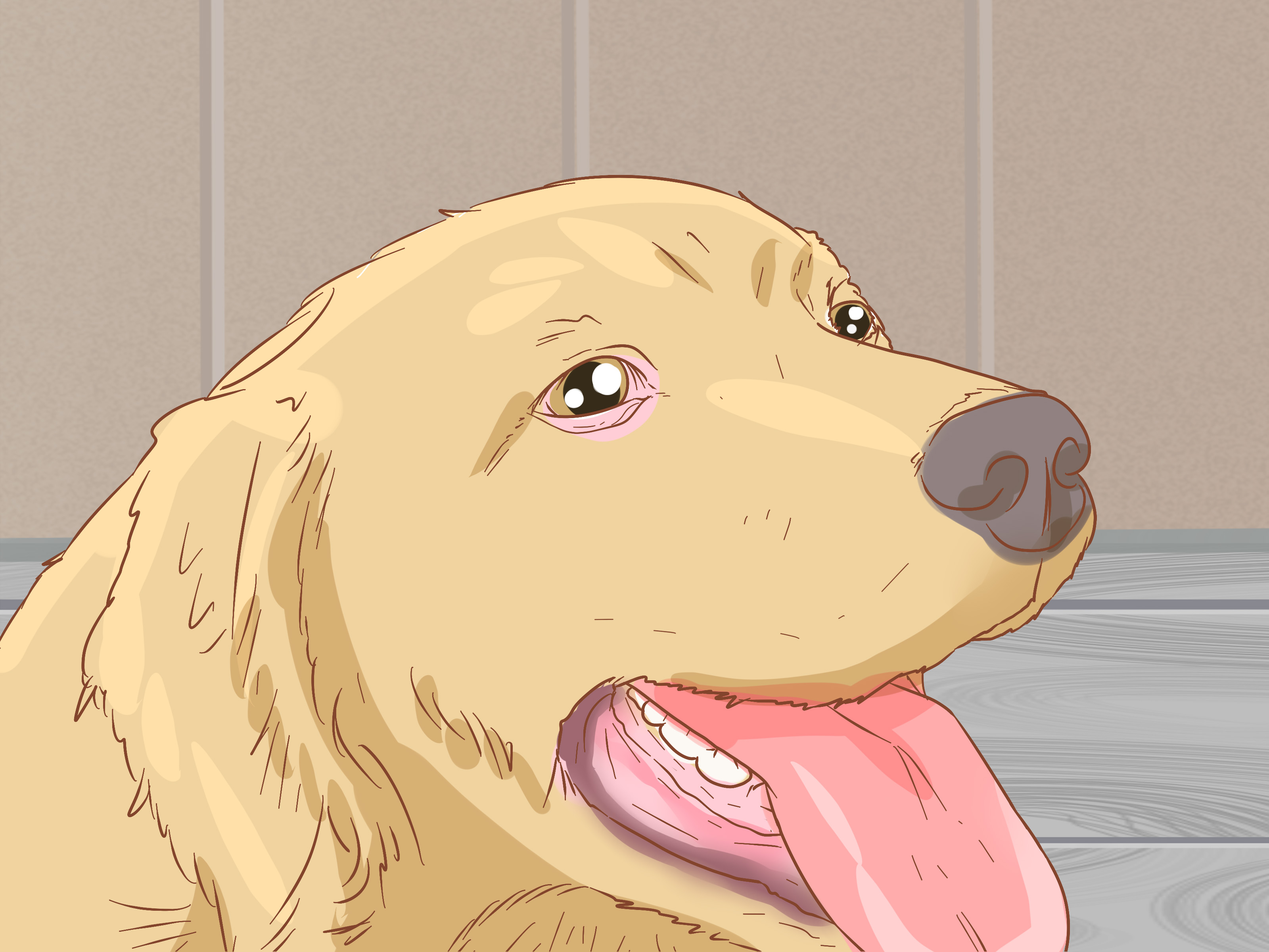 Image Titled Help Your Dog Through A Stroke Step - Labrador Retriever - HD Wallpaper 