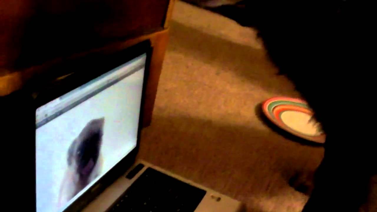 Flat Panel Display - HD Wallpaper 