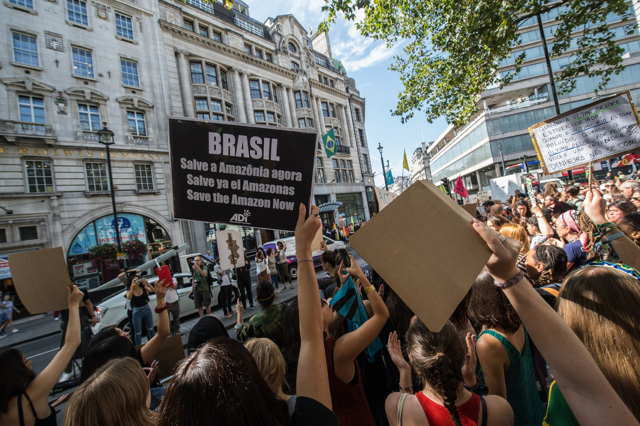 Amazon Rainforest Protests - Amazon Forest Fire Protests - HD Wallpaper 