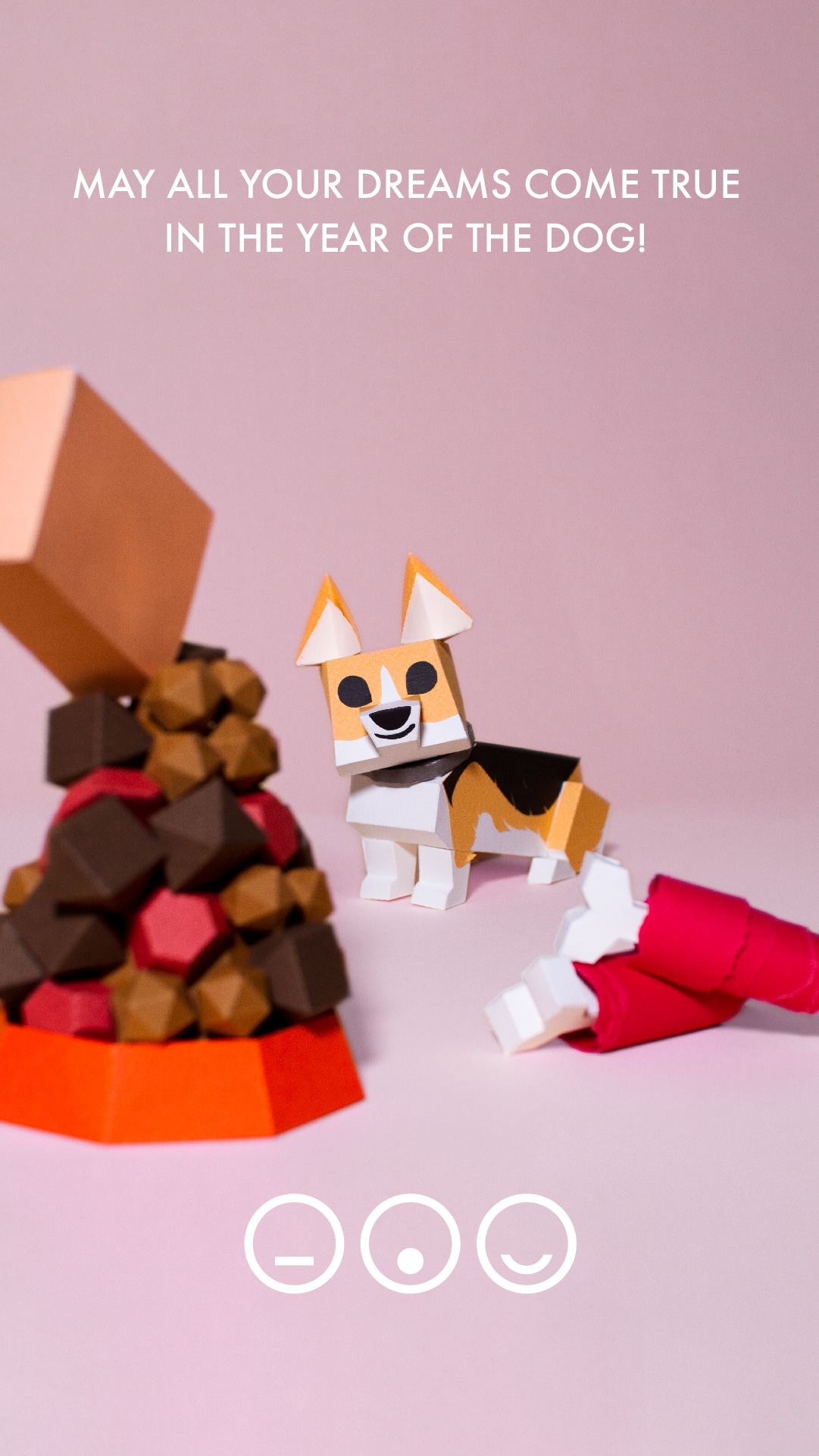 Pembroke Welsh Corgi - HD Wallpaper 