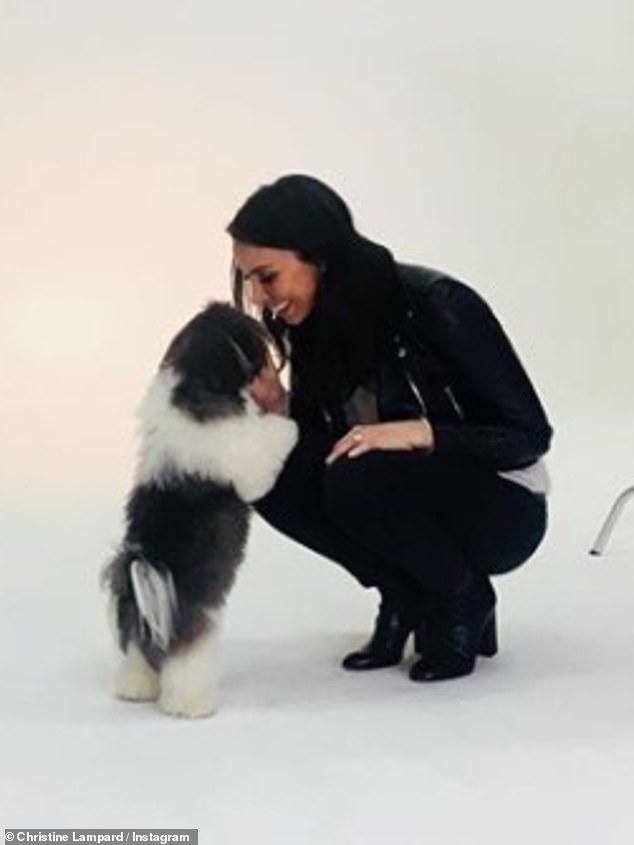 Christine Lampard Was The Only Panelist Who Said She - Dog Licks - HD Wallpaper 