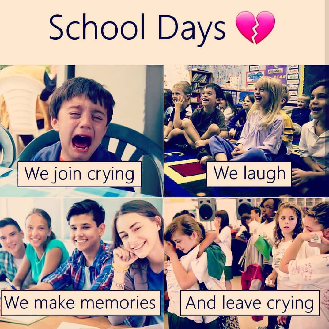 Funny Jokes School Life Funny Quotes In English - 1074x1074 Wallpaper - Funny Jokes School Life Funny Quotes In English - 1074x1074 Wallpaper -