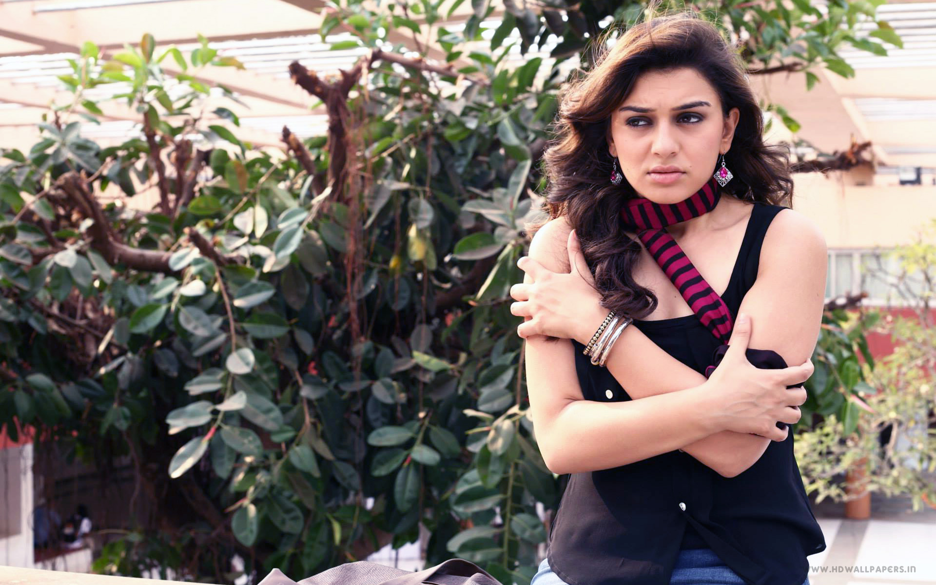 Hansika Motwani South Indian Actress - Free Wallpapers Hansika Motwani - HD Wallpaper 