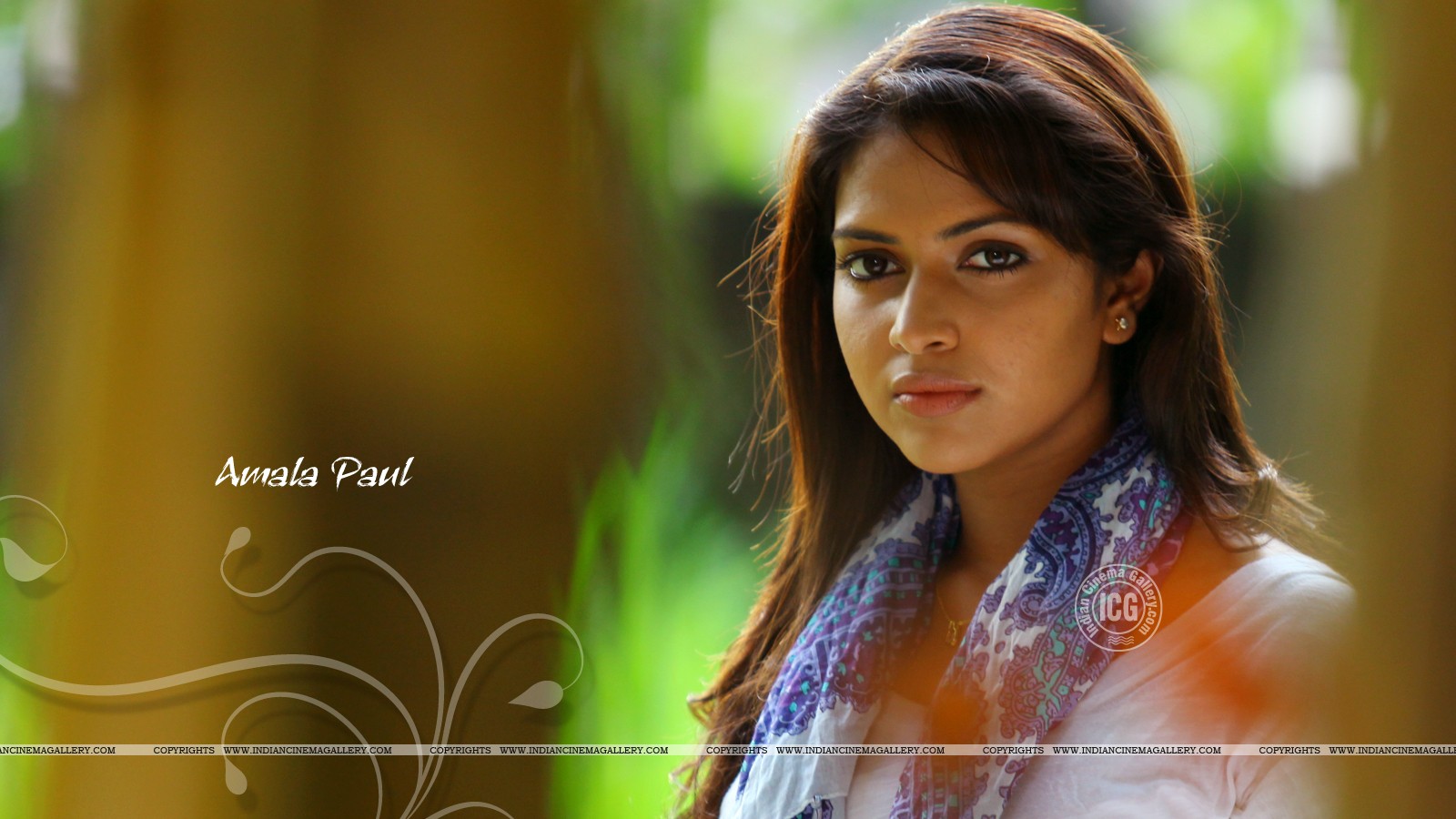 Actresses / South Korea Hd Wallpapers Backgrounds Wallpaper - Amala Paul New Stills - HD Wallpaper 