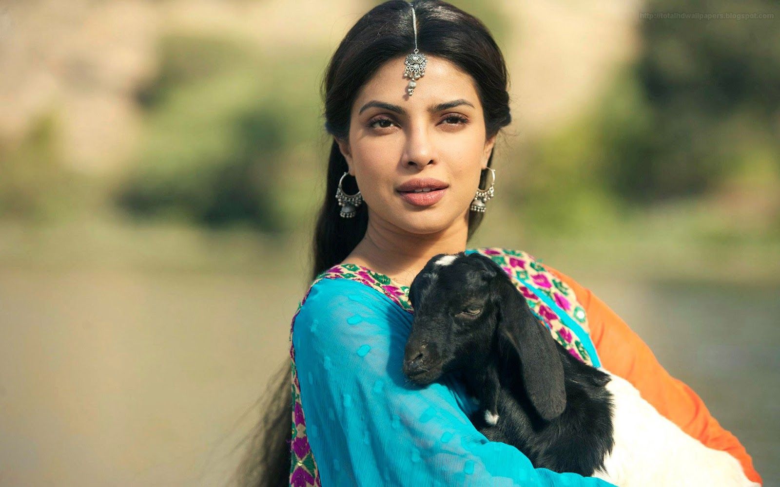 Priyanka Chopra Pics In Teri Meri Kahaani 1600x1000 Wallpaper Teahub Io