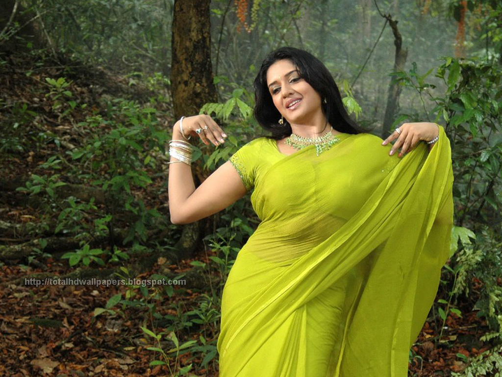 Hd Wallpapers Hollywood Actress Hd Wallpapers - Vimala Raman Saree Hot - HD Wallpaper 