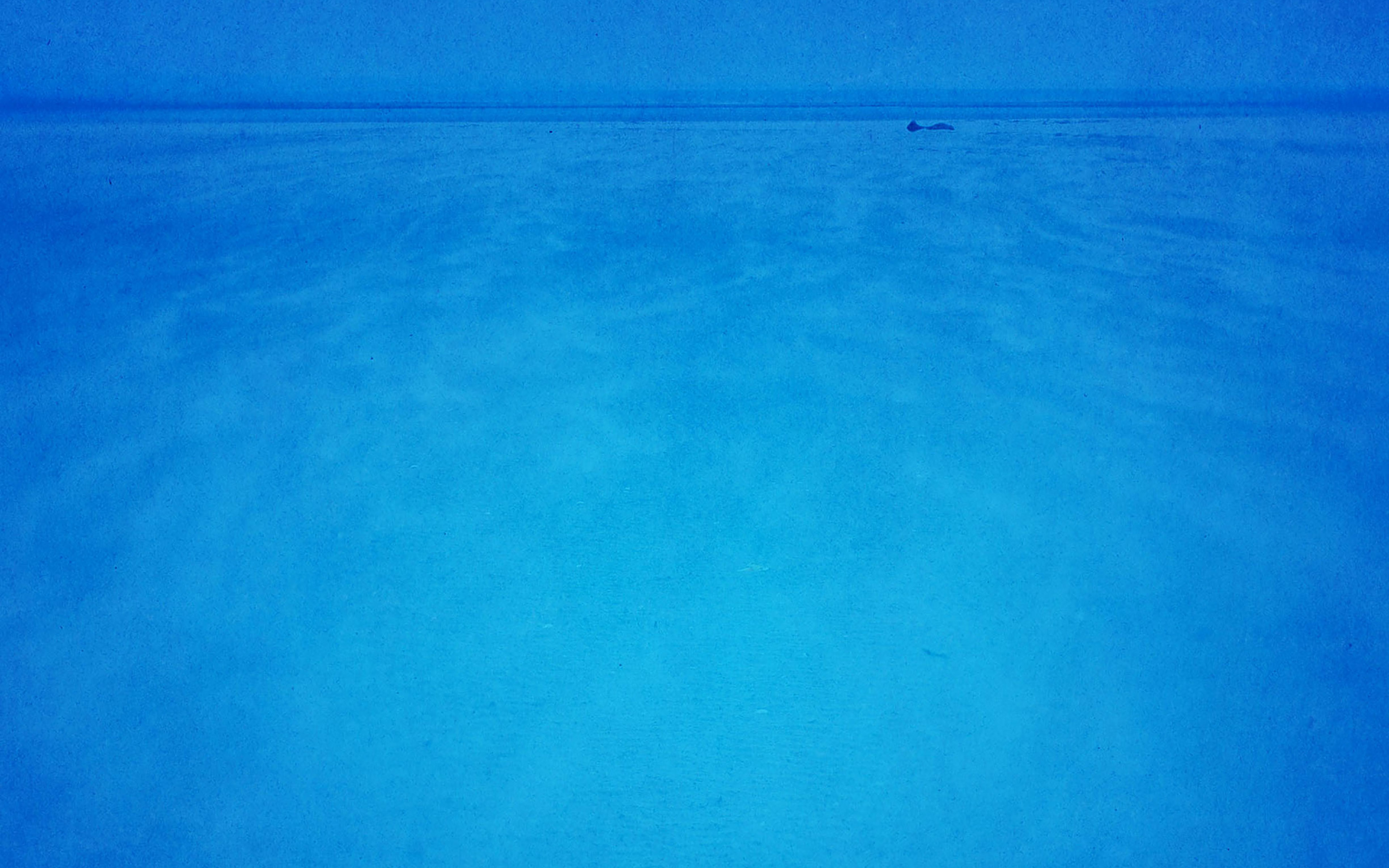 Wallpaper - HD Wallpaper 