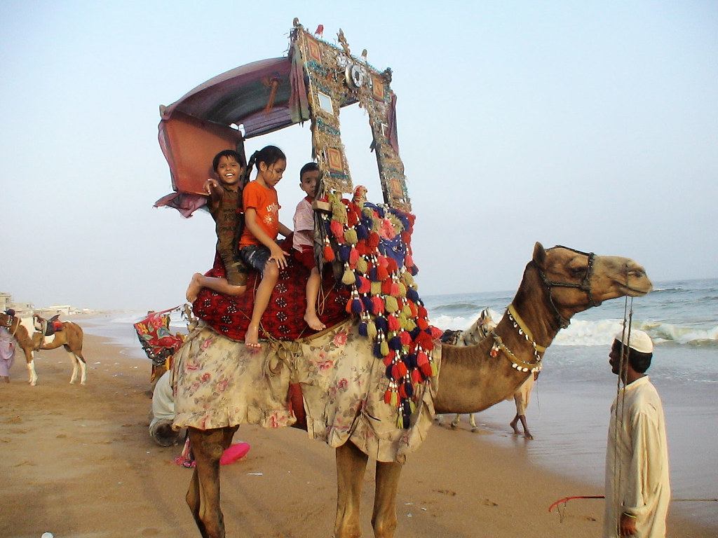 Camel Ride In Karachi - HD Wallpaper 