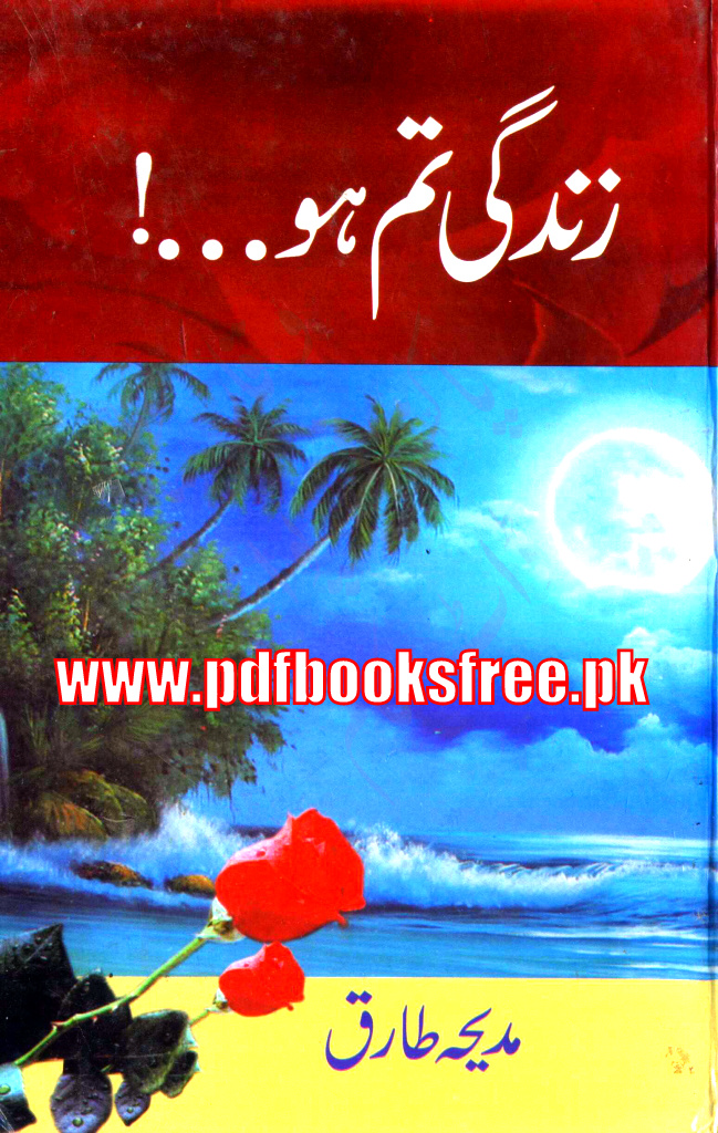 Zindagi Tum Ho Urdu Novel - HD Wallpaper 