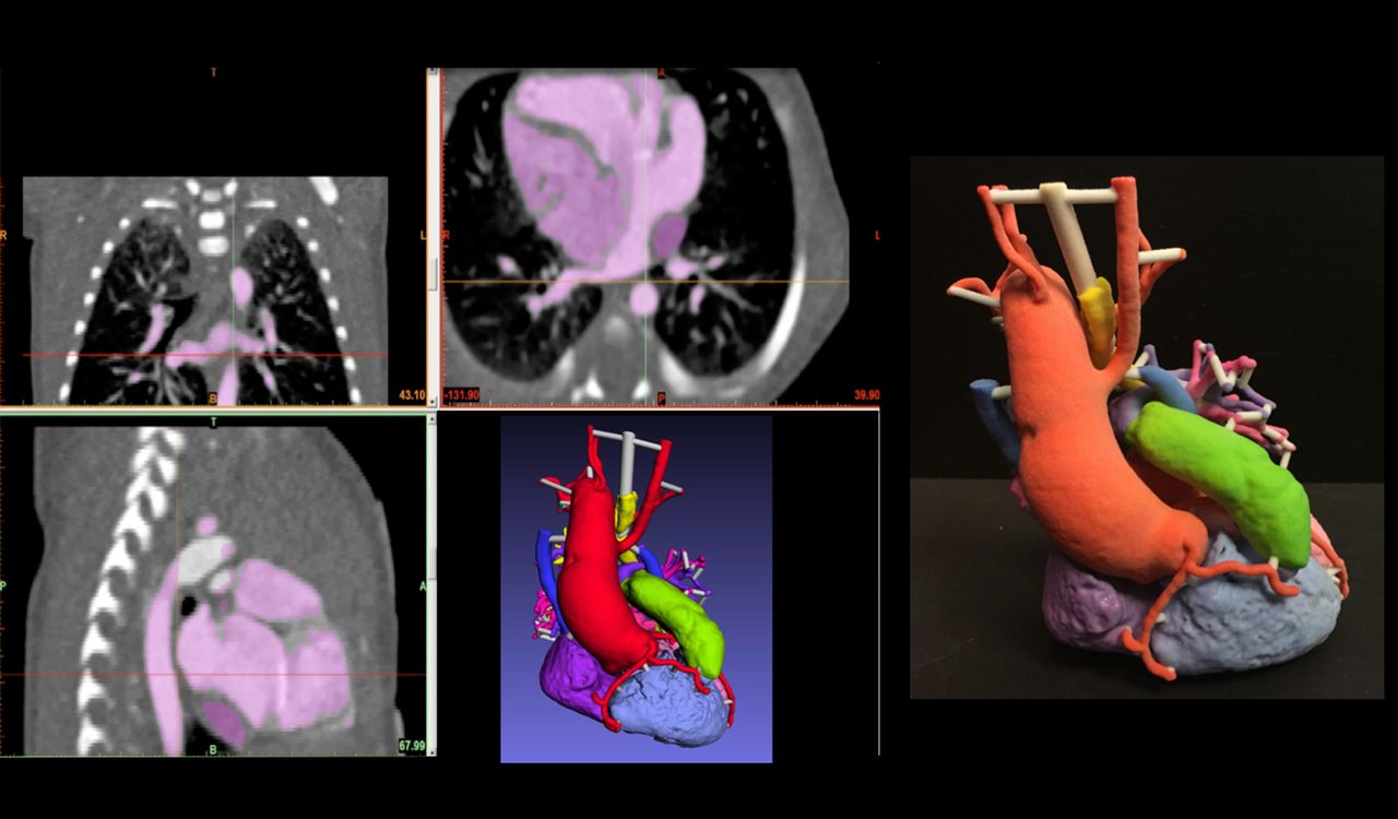 Shrub Frog - HD Wallpaper 