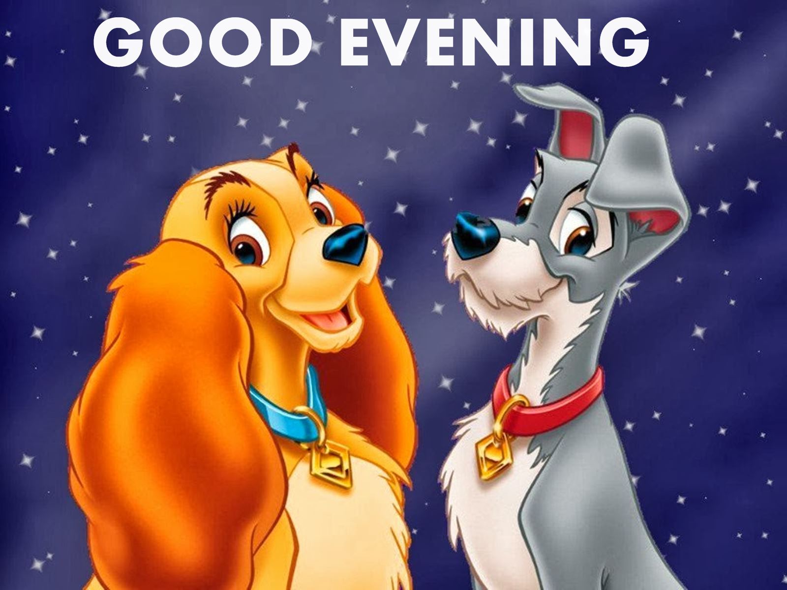 Good Evening Disney Lovely Couple Cartoon Hd Wallpaper - Good Evening Image Cartoon - HD Wallpaper 