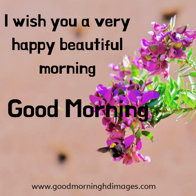 Good Morning Wish In English - HD Wallpaper 