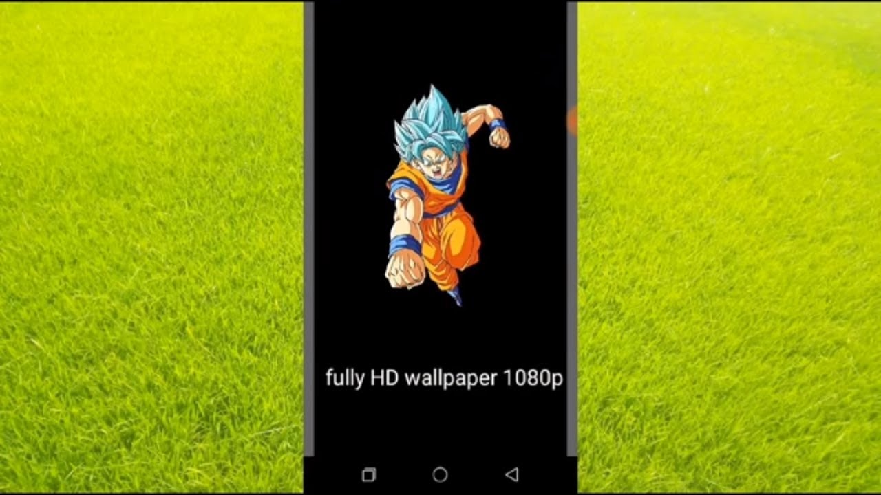 Cartoon - HD Wallpaper 