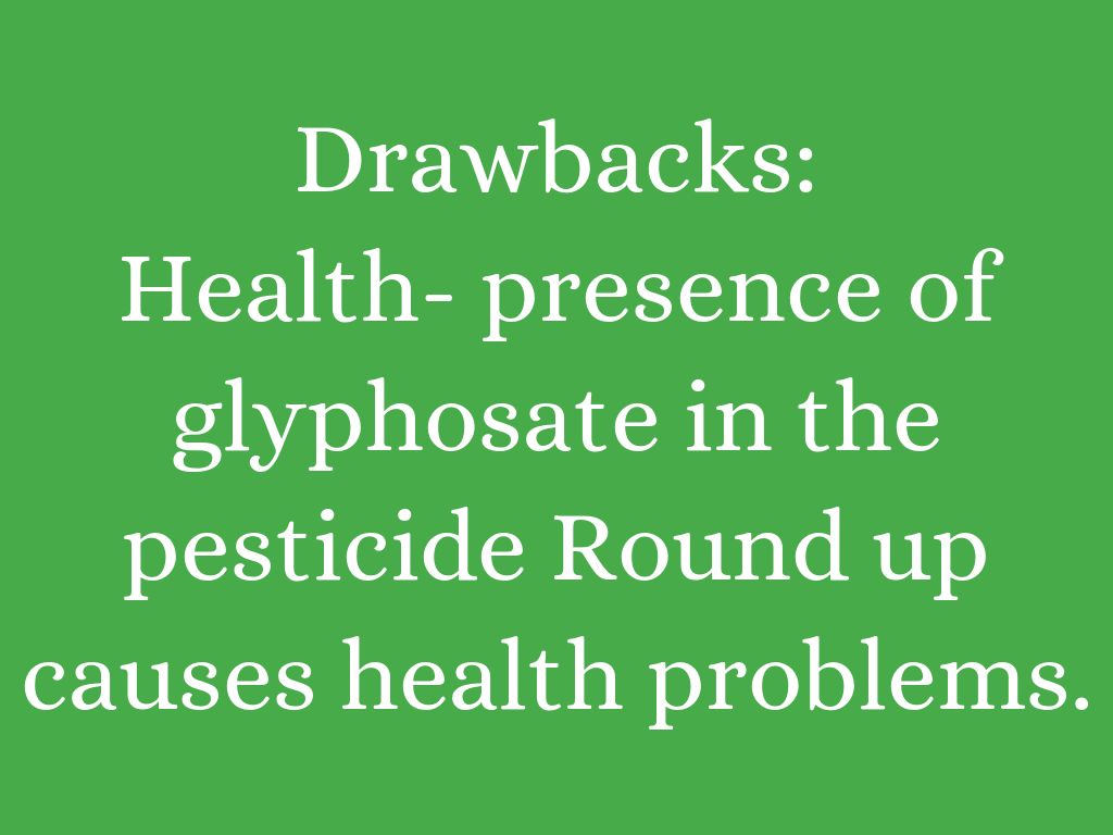 Colorfulness - HD Wallpaper 