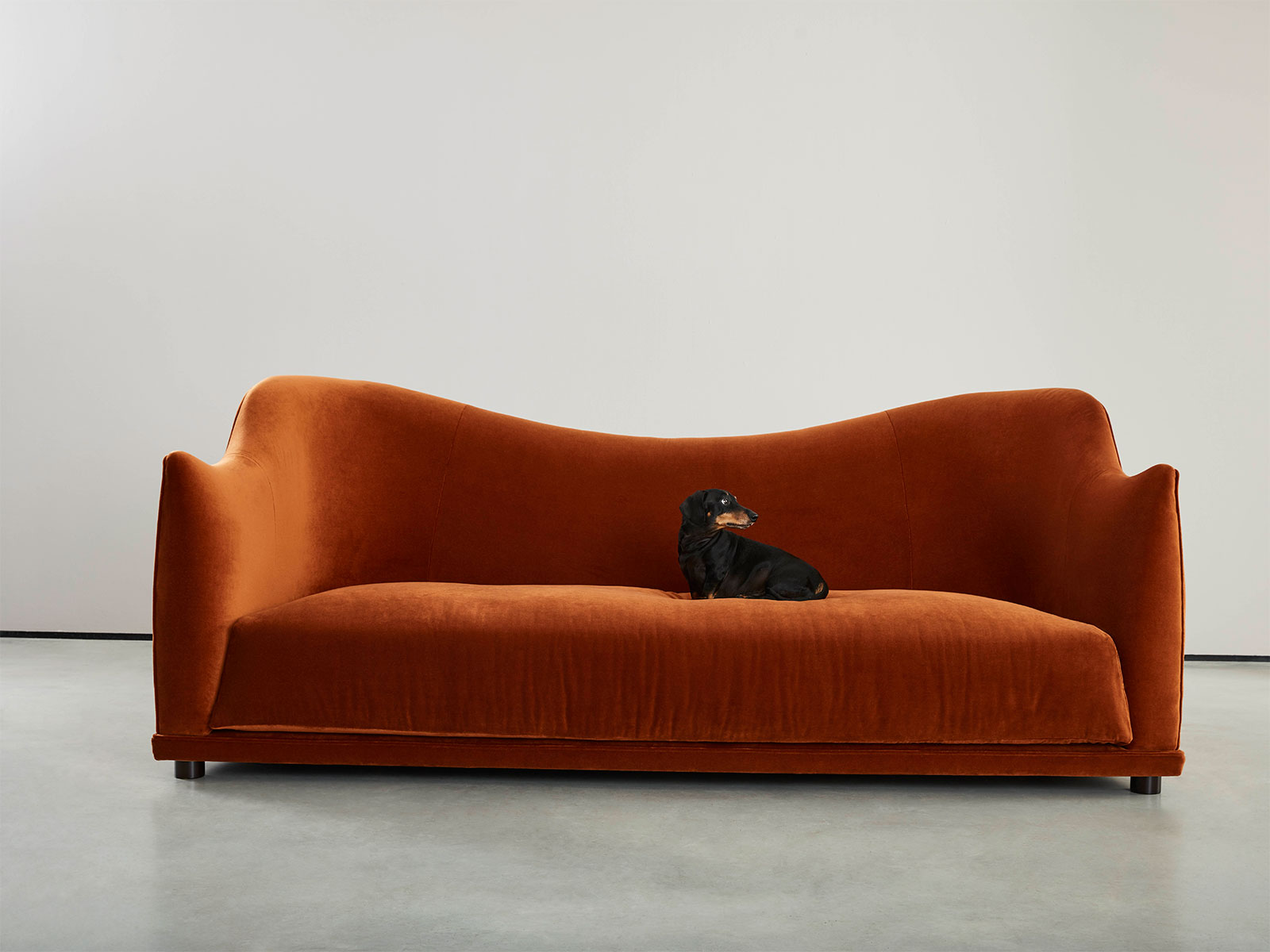 Studio Couch - HD Wallpaper 
