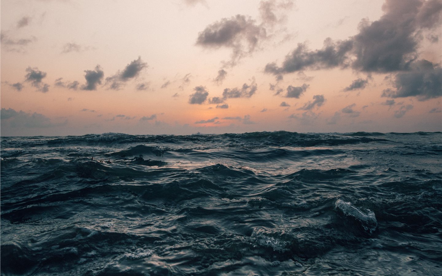 Iphone 11 Pro Max - HD Wallpaper 