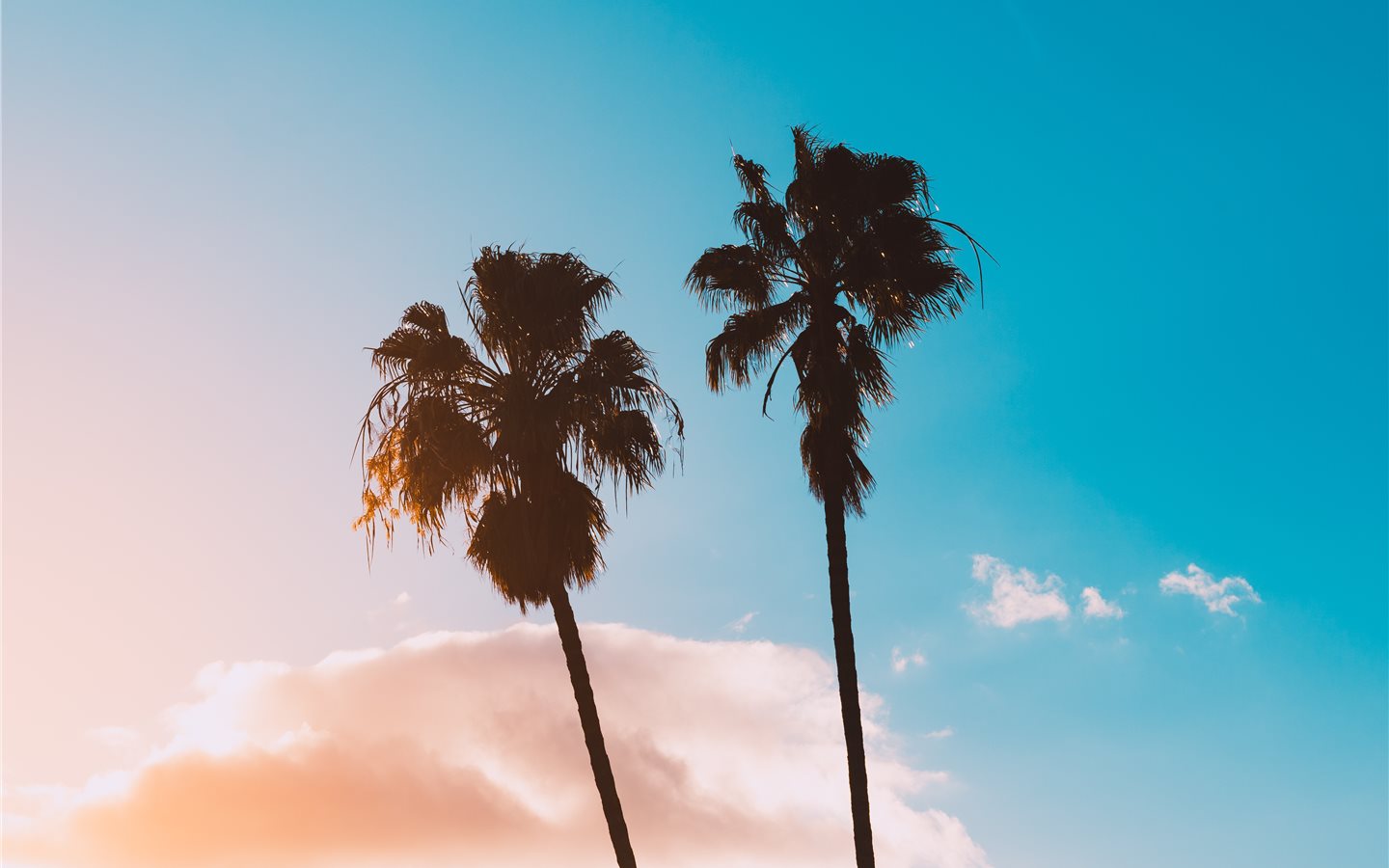 East Love Rolling Stone John Skyfield & Conki Remix - HD Wallpaper 