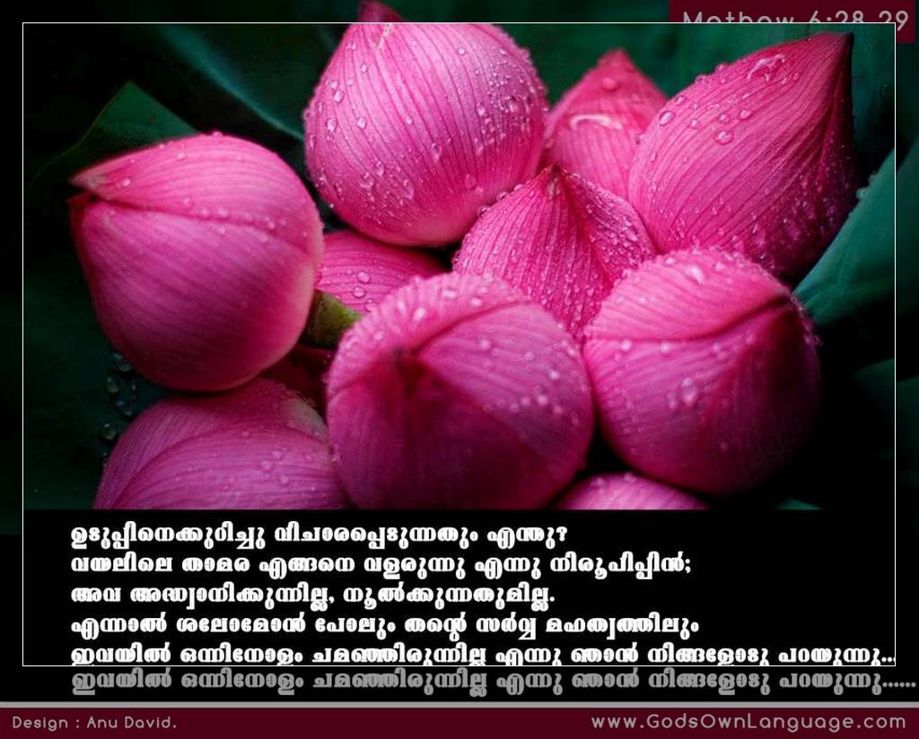 Prayer Quotes In Malayalam - HD Wallpaper 