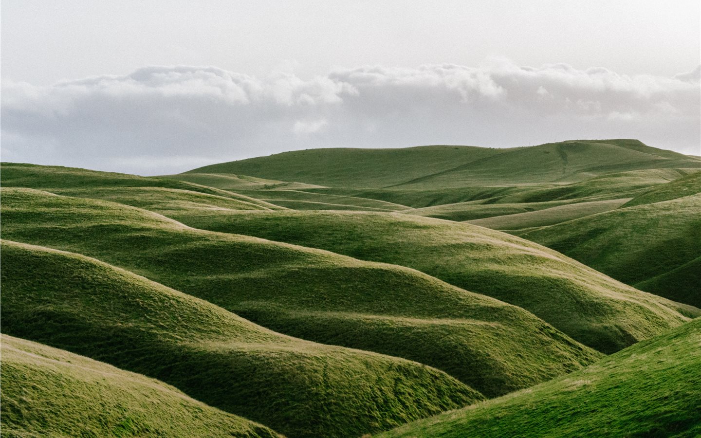 Field Hump - HD Wallpaper 