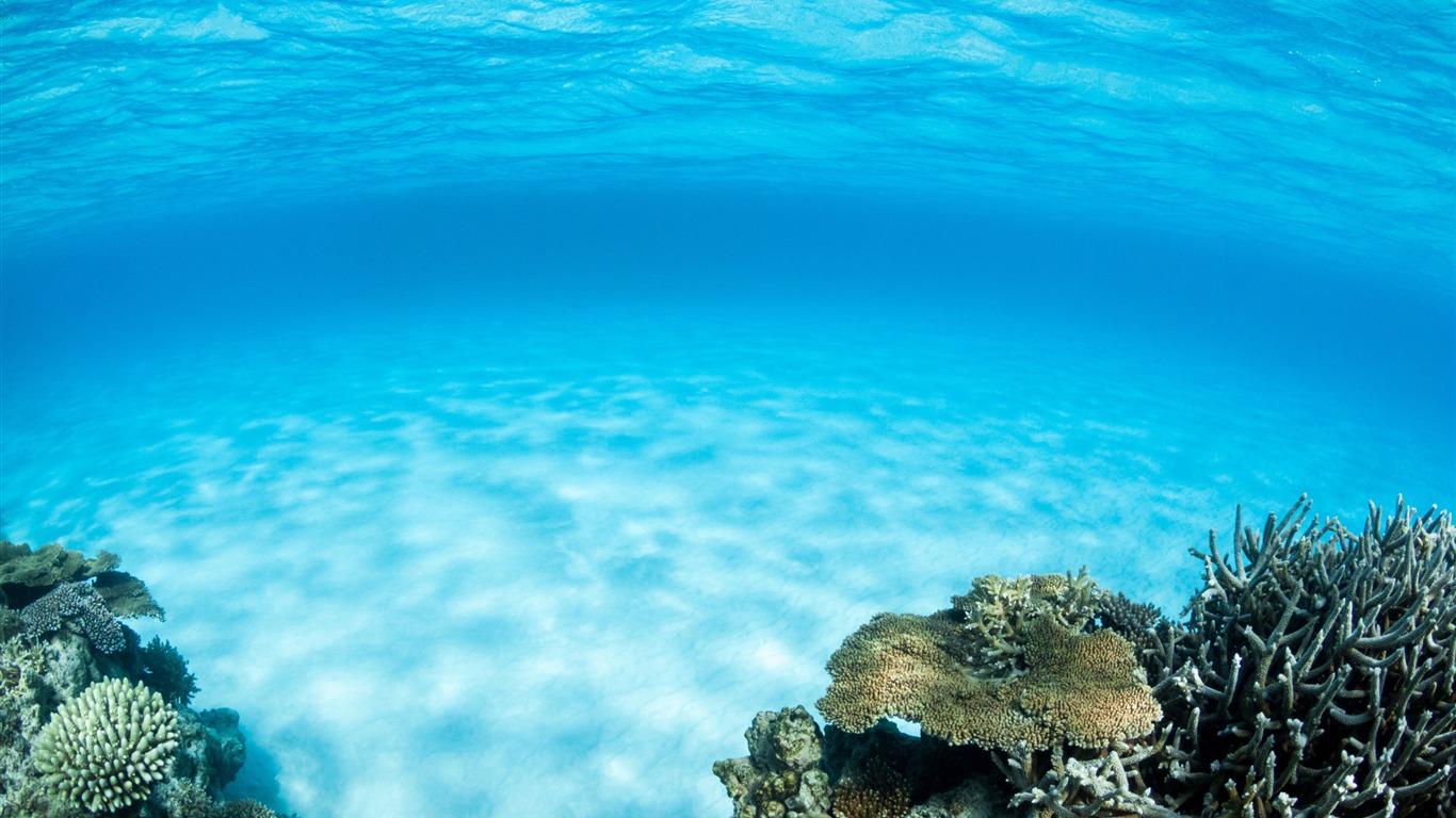 Summer Blue Ocean Scenery Hd Desktop Wallpaper - Diviners Tropic Love - HD Wallpaper 