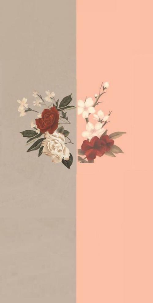 Roses Shawn Mendes Album - HD Wallpaper 