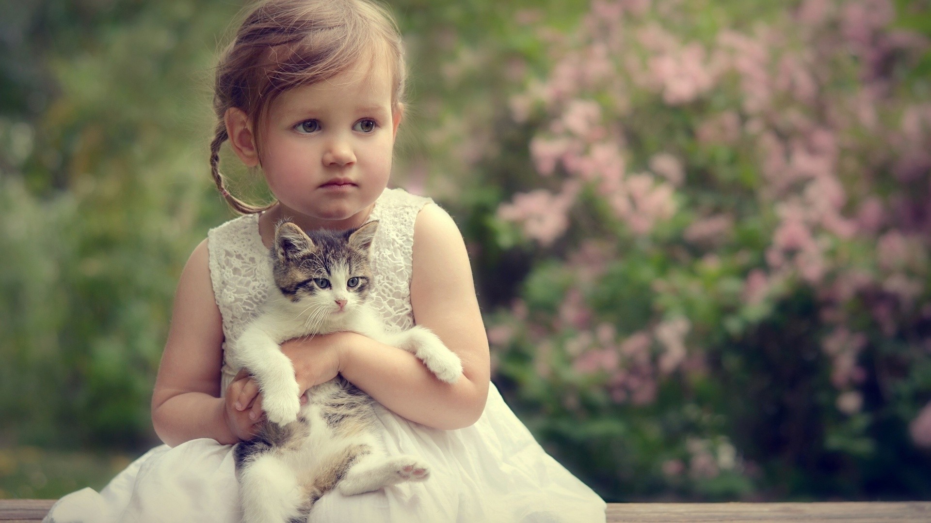 Girl Baby Cat Image Wallpaper - Cute Girl With Cat - HD Wallpaper 