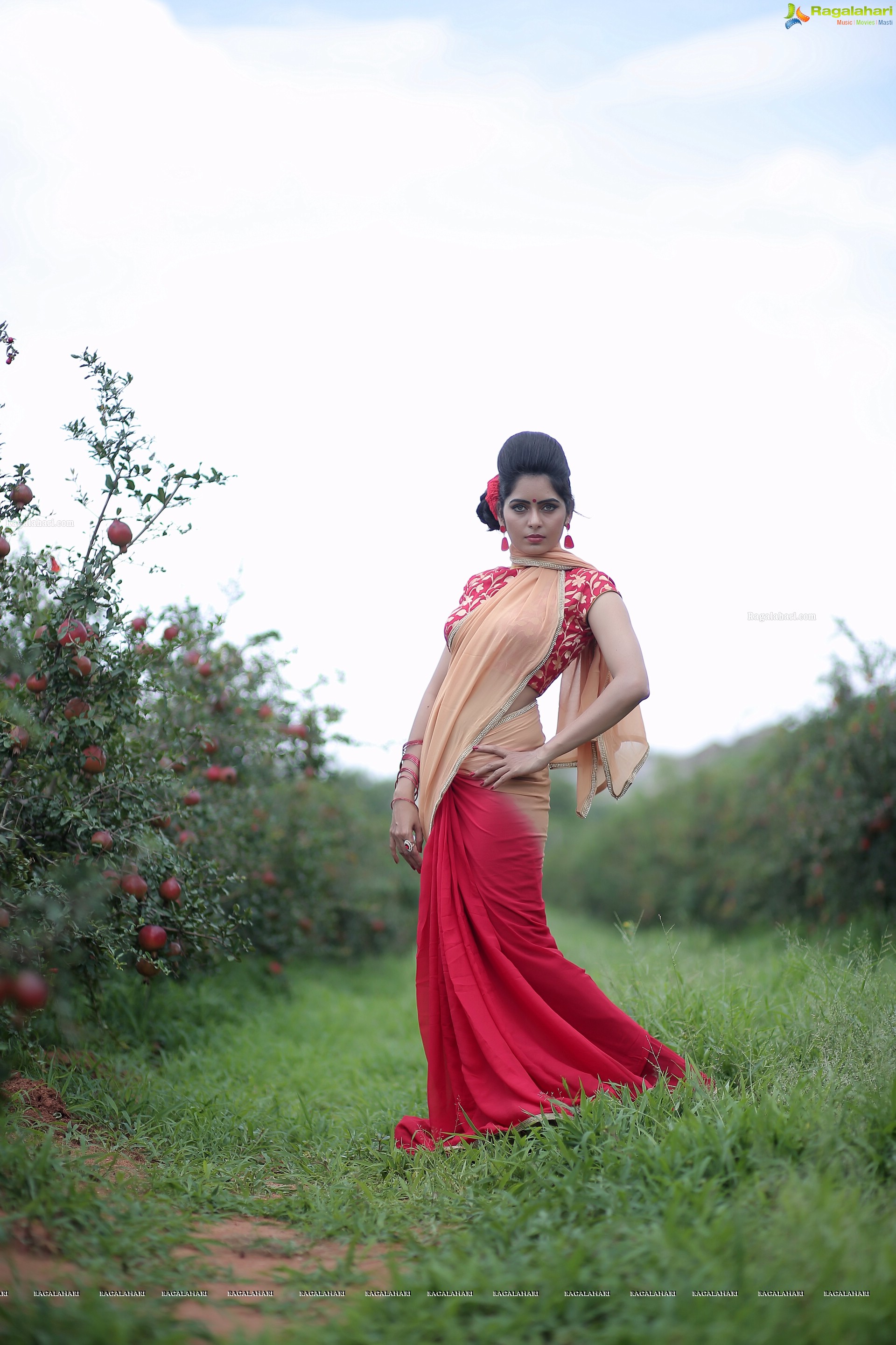 Photo Shoot - HD Wallpaper 