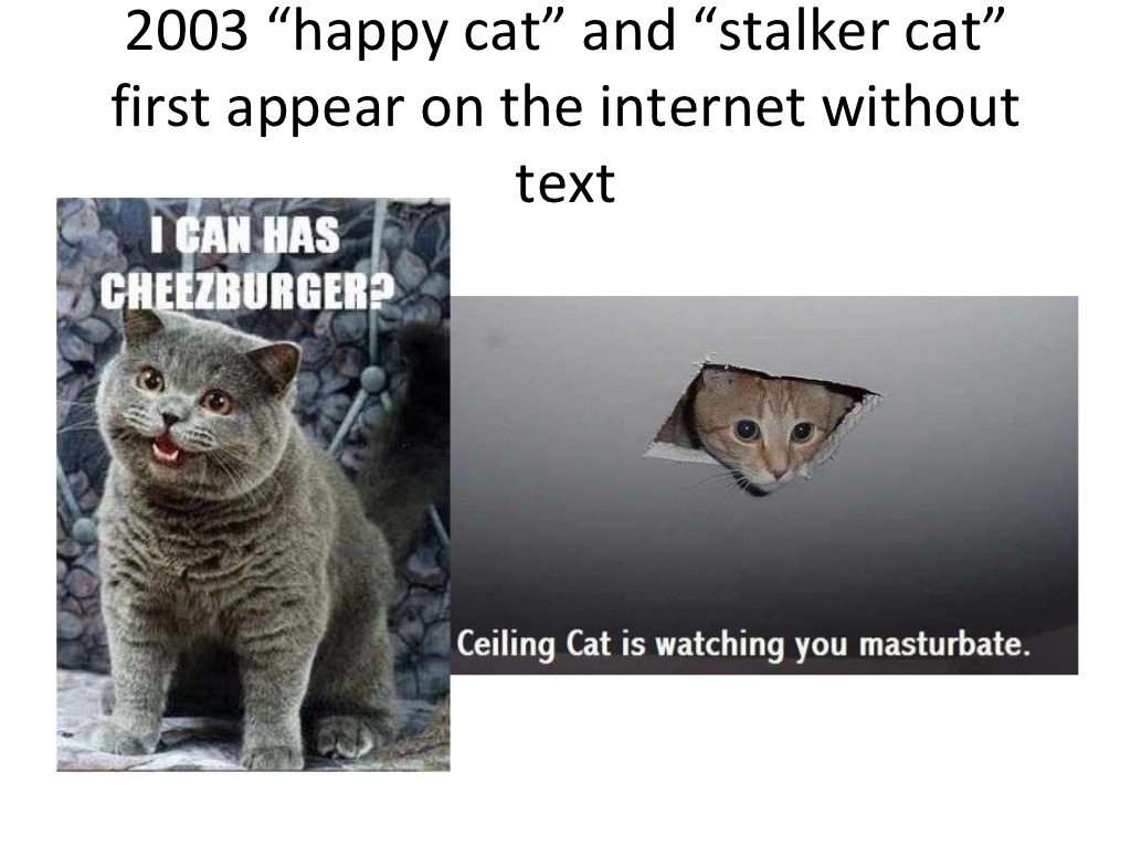 Hp Lovecraft Cat Meme - HD Wallpaper 