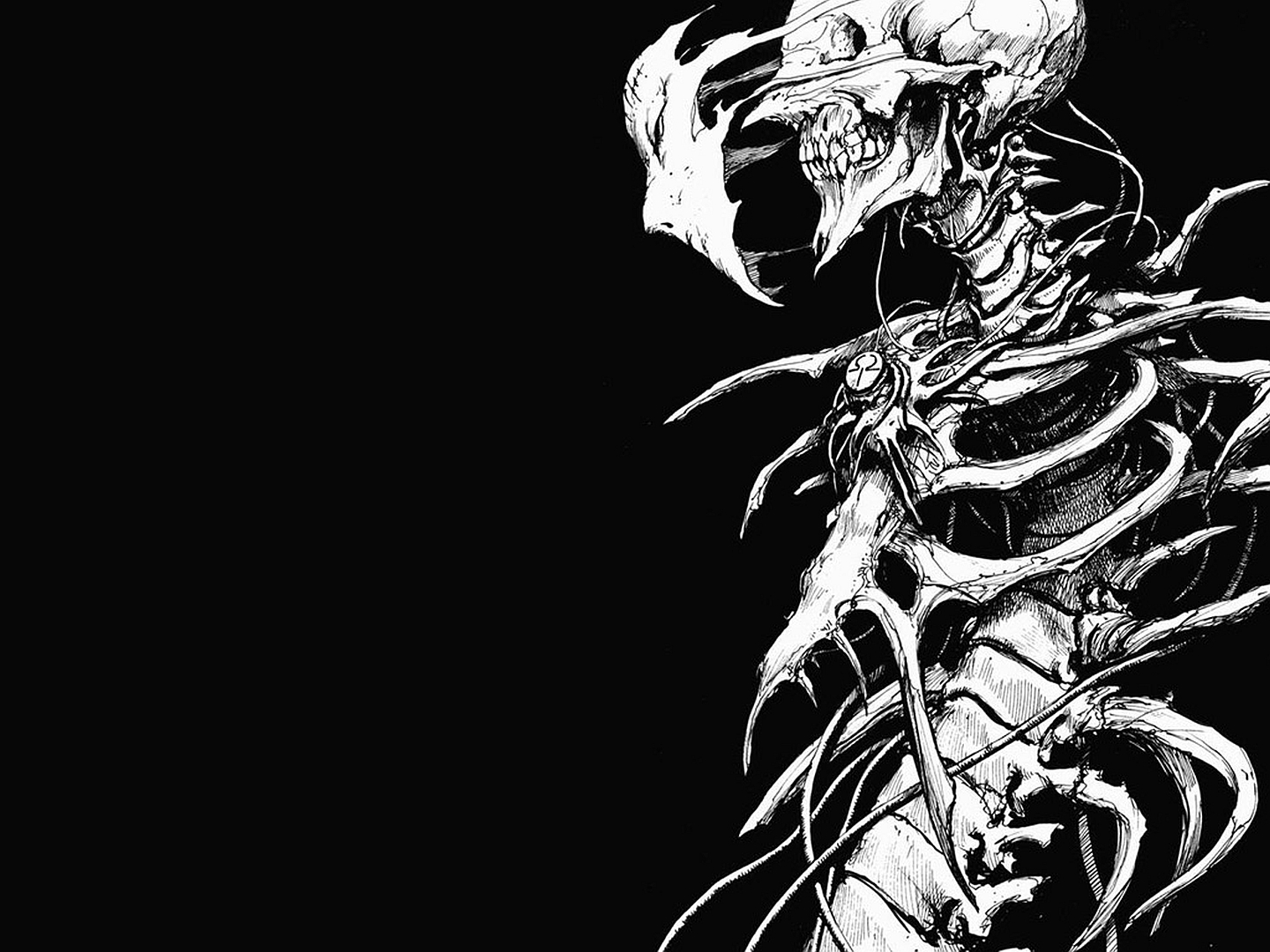 Skeleton Computer Wallpapers, Desktop Backgrounds - HD Wallpaper 