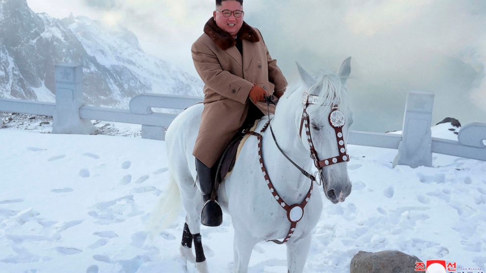 Seven White Horses Wallpaper - HD Wallpaper 