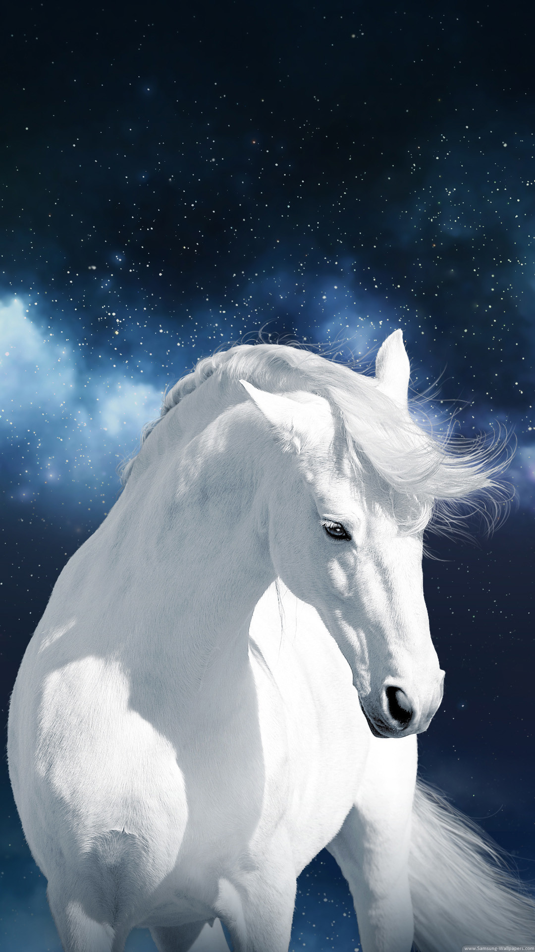 White Horse Stock Samsung Galaxy S5 Wallpaper Hd - HD Wallpaper 