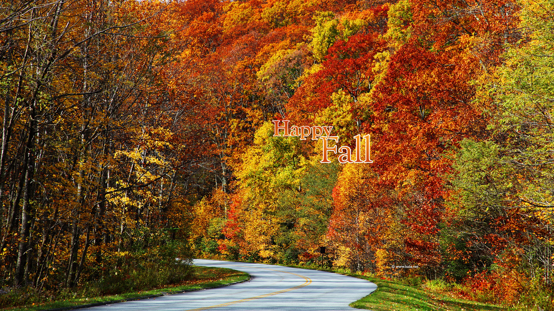 Free Screen Saver For Fall - HD Wallpaper 