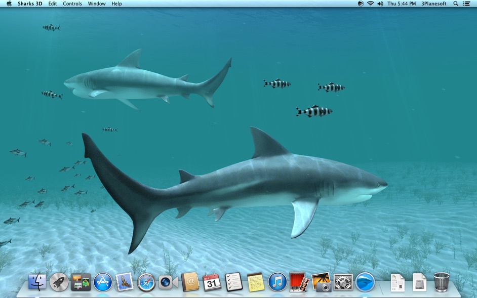 Shark 3d Animated - HD Wallpaper 