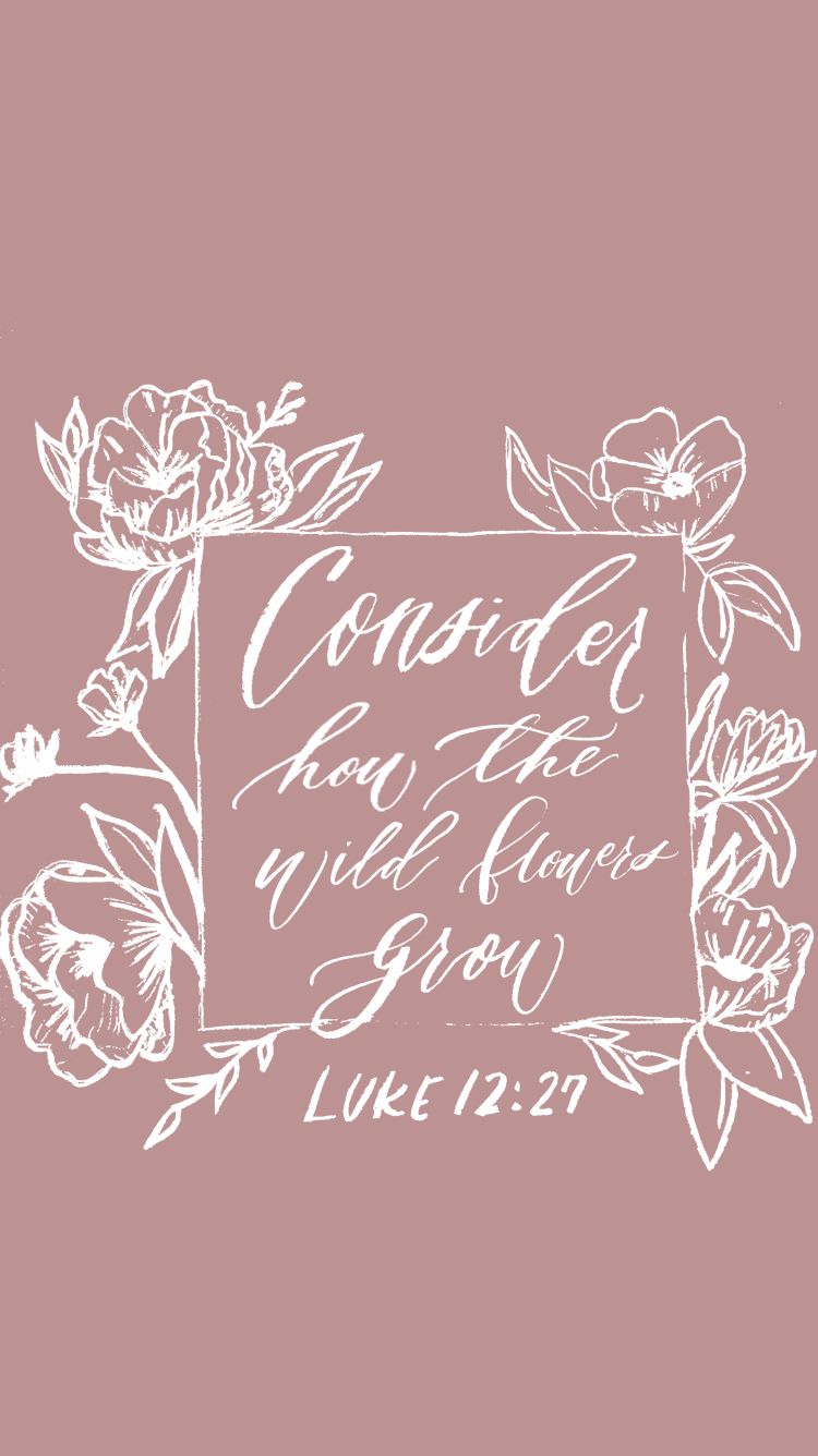 Bible Verses About Wildflowers - HD Wallpaper 