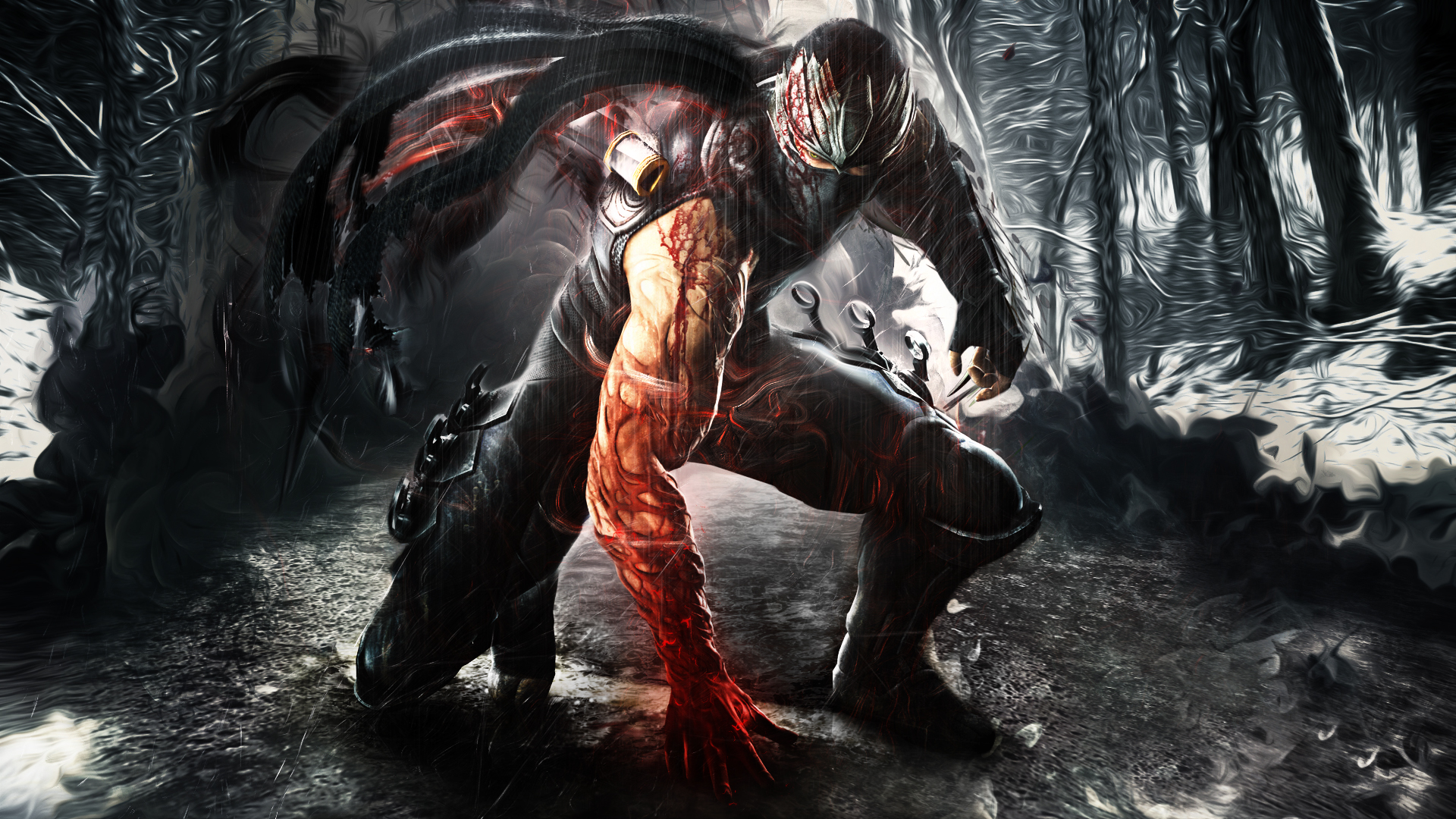 Ninja Gaiden 3 Ryu Hayabusa - HD Wallpaper 