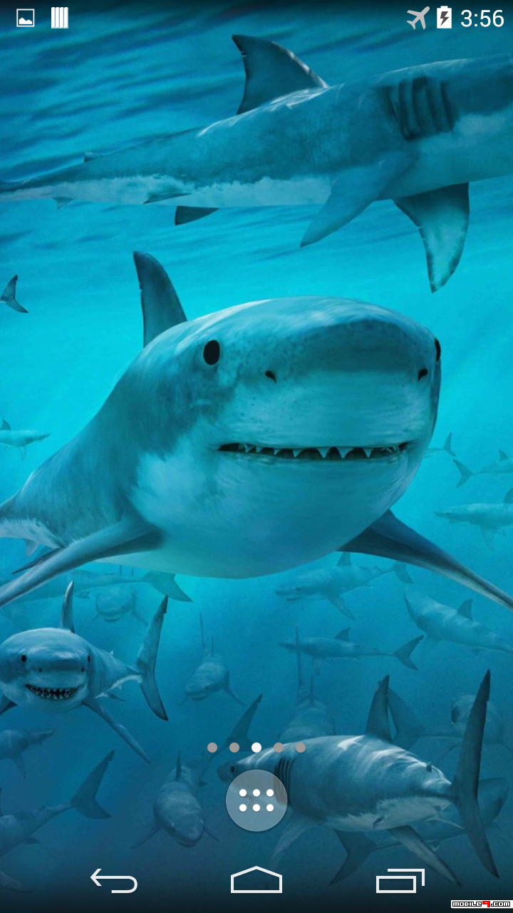 Обои На Телефон Акула - HD Wallpaper 