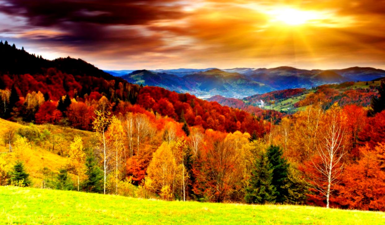 Awesome Bright Autumn Scenery Wallpaper1366x76861883 - Hd Fall Wallpapers Ipad - HD Wallpaper 