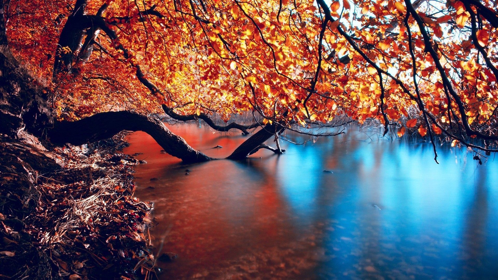 Stunning Hd Autumn - Hd Autumn - HD Wallpaper 