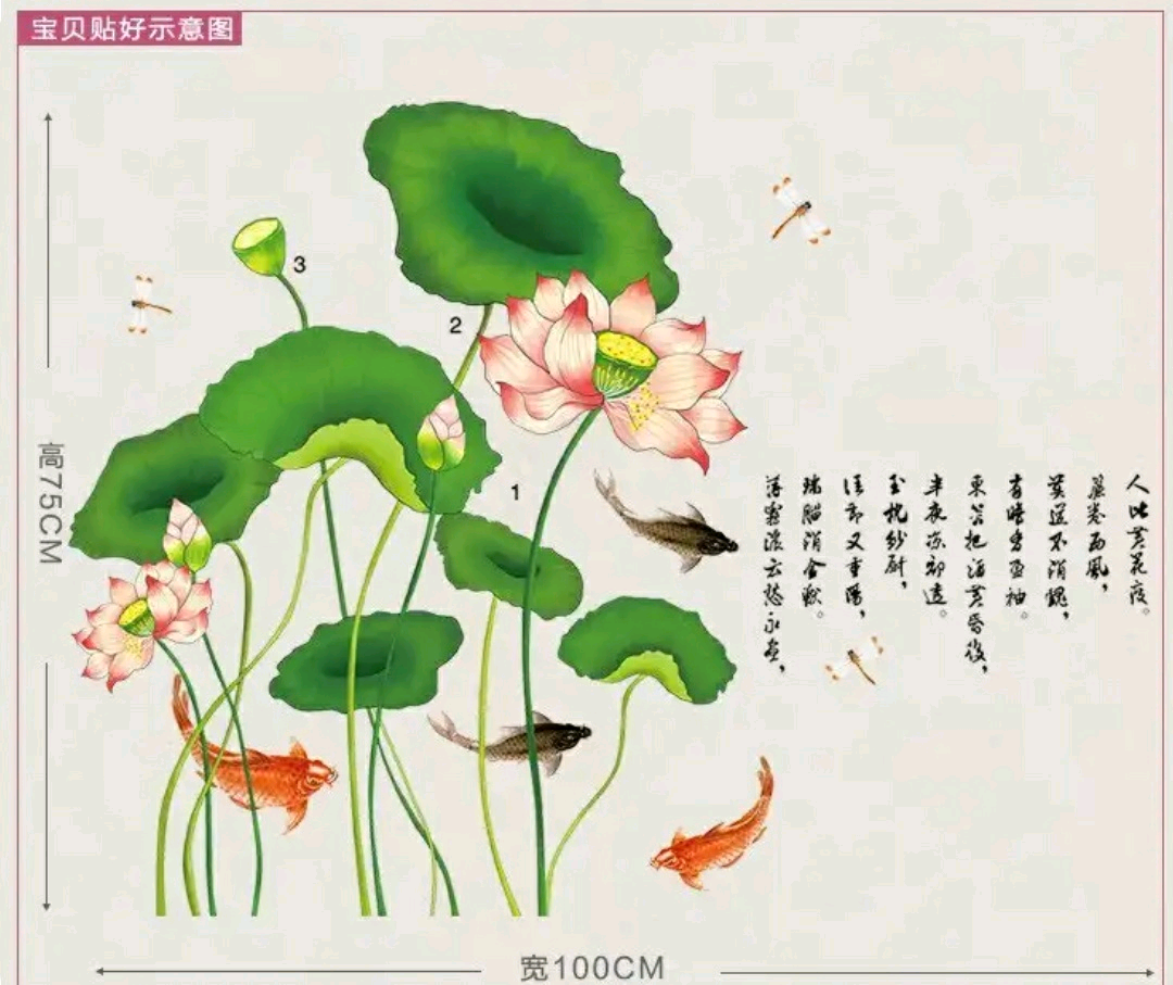 壁 貼 蓮花 - HD Wallpaper 