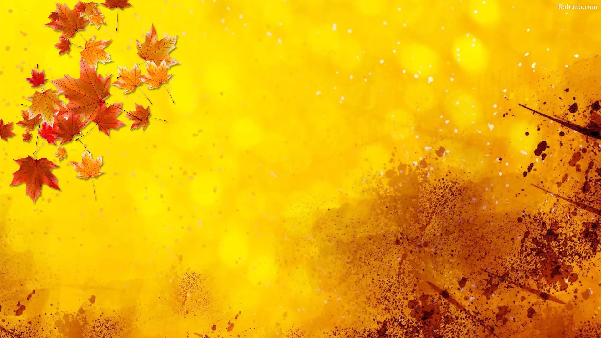 Real Autumn Leaves Png - HD Wallpaper 