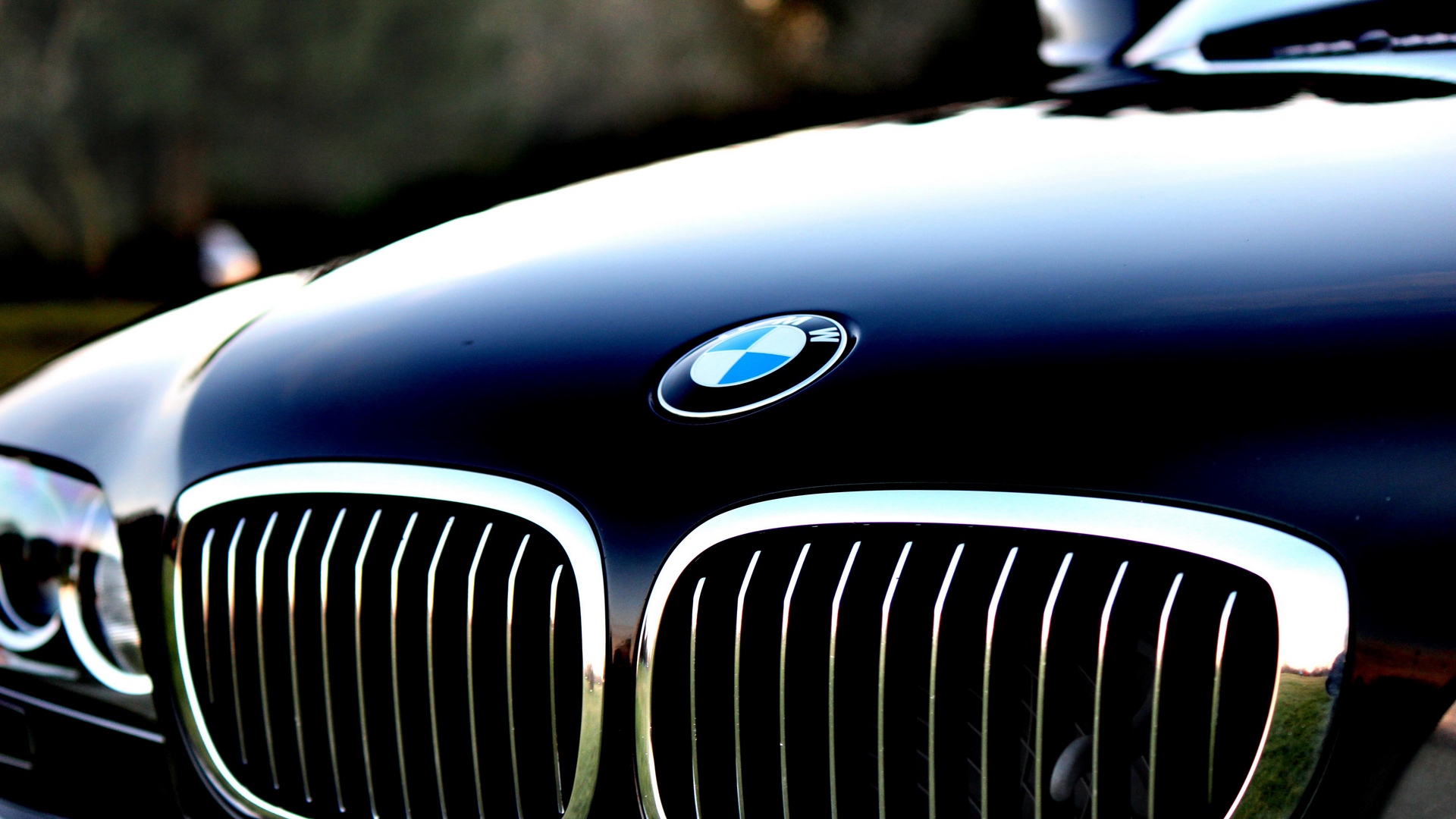 Wallpaper Bmw, Hood, Logo - Full Hd Bmw Wallpaper Hd - HD Wallpaper 