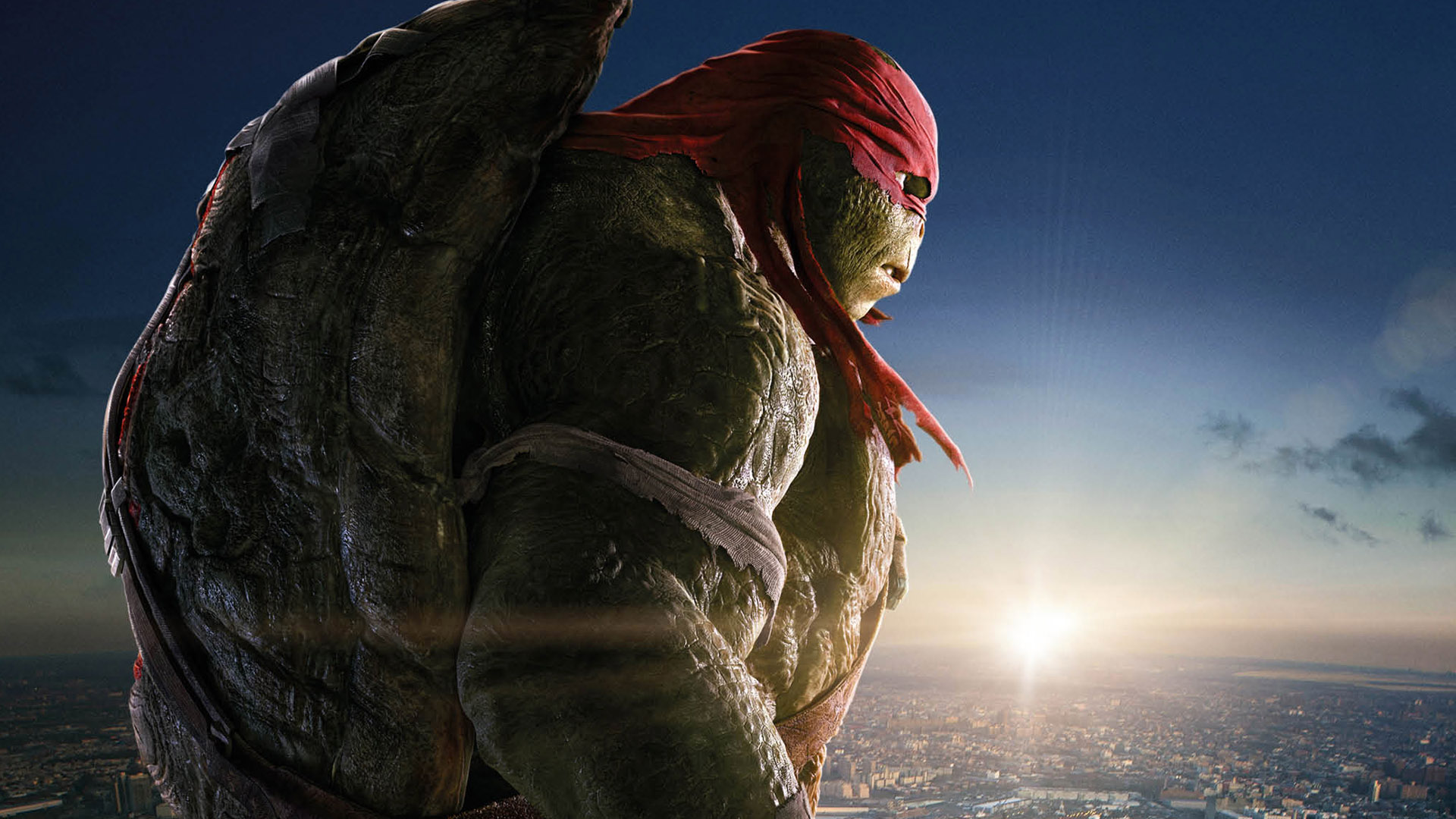 Teenage Mutant Ninja Turtles Side View - HD Wallpaper 