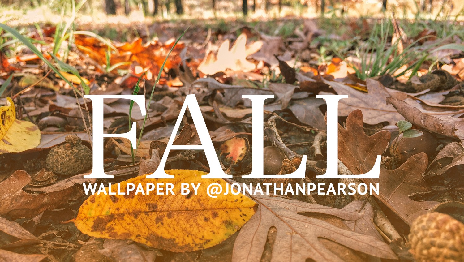 Processed With Vscocam With E2 Preset - Autumn - HD Wallpaper 