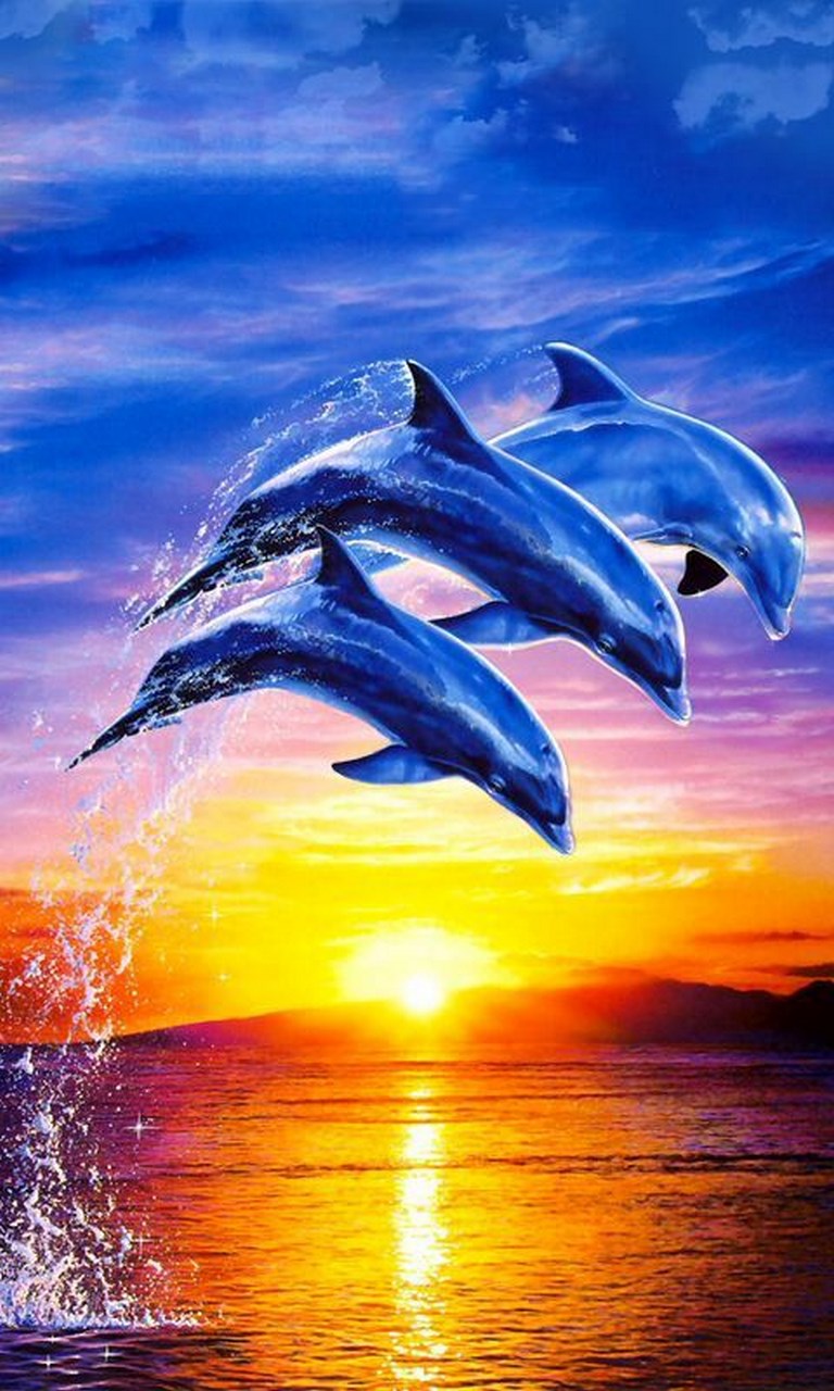 Free Dolphin - HD Wallpaper 