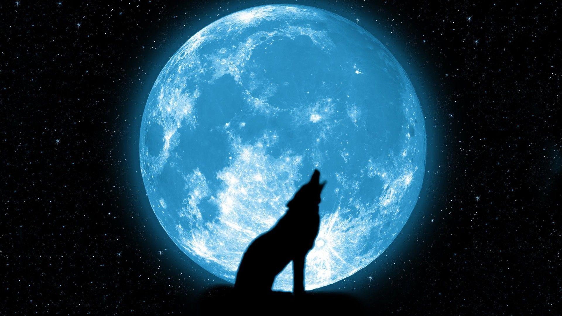 Wolf Howling At The Moon Big - HD Wallpaper 