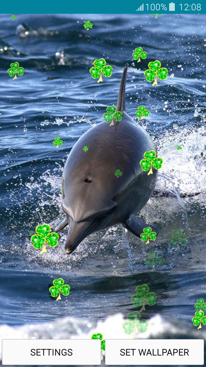 Live Wallpapers Dolphins - Common Bottlenose Dolphin - HD Wallpaper 