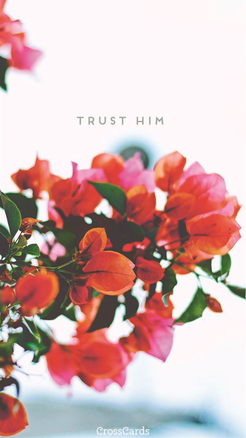 Trust Him Mobile Phone Wallpaper - Have A Lovely Wonderful Day - HD Wallpaper 