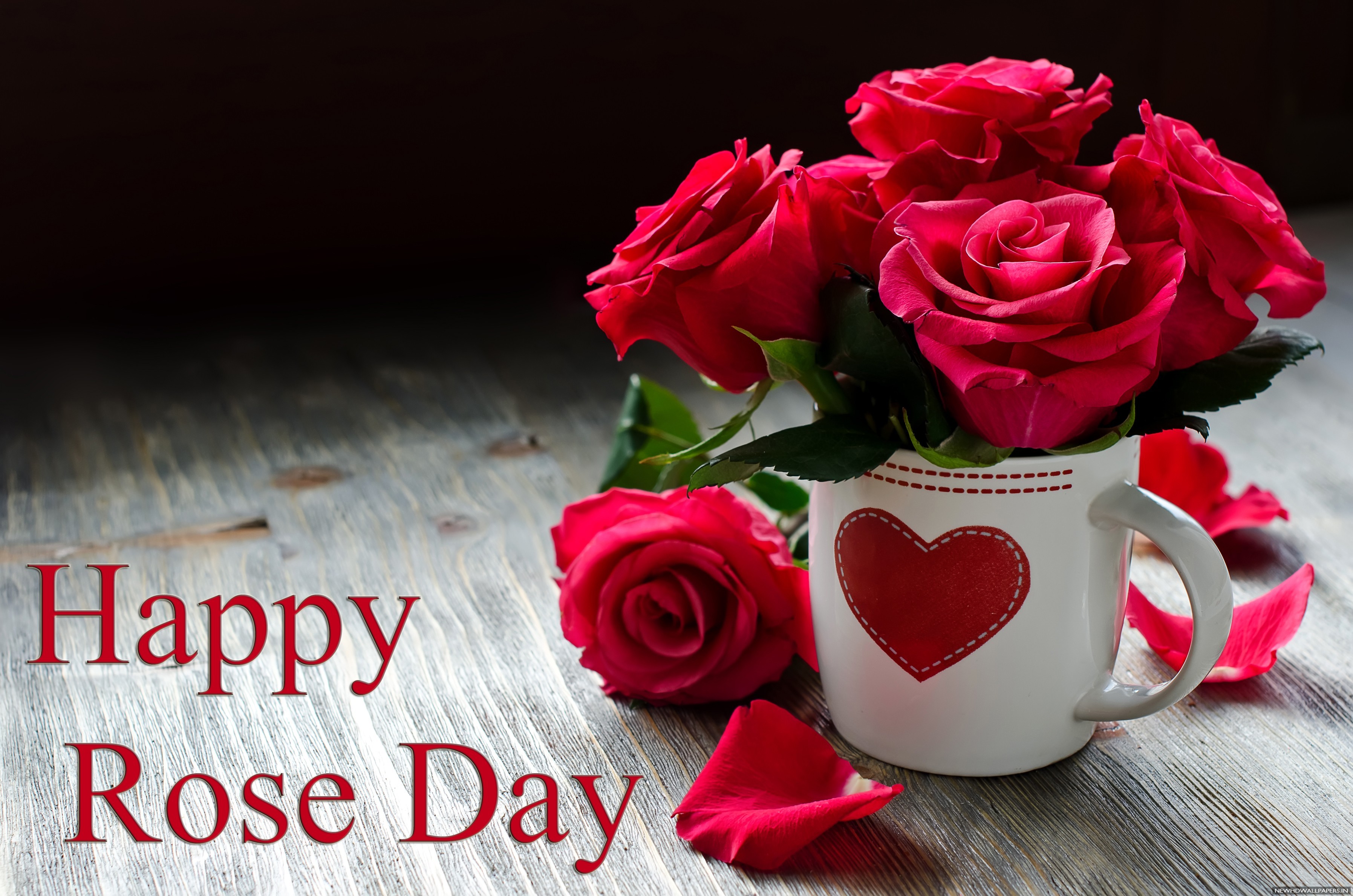 Rose Day-days Of Love - First Day Of Valentine - HD Wallpaper 