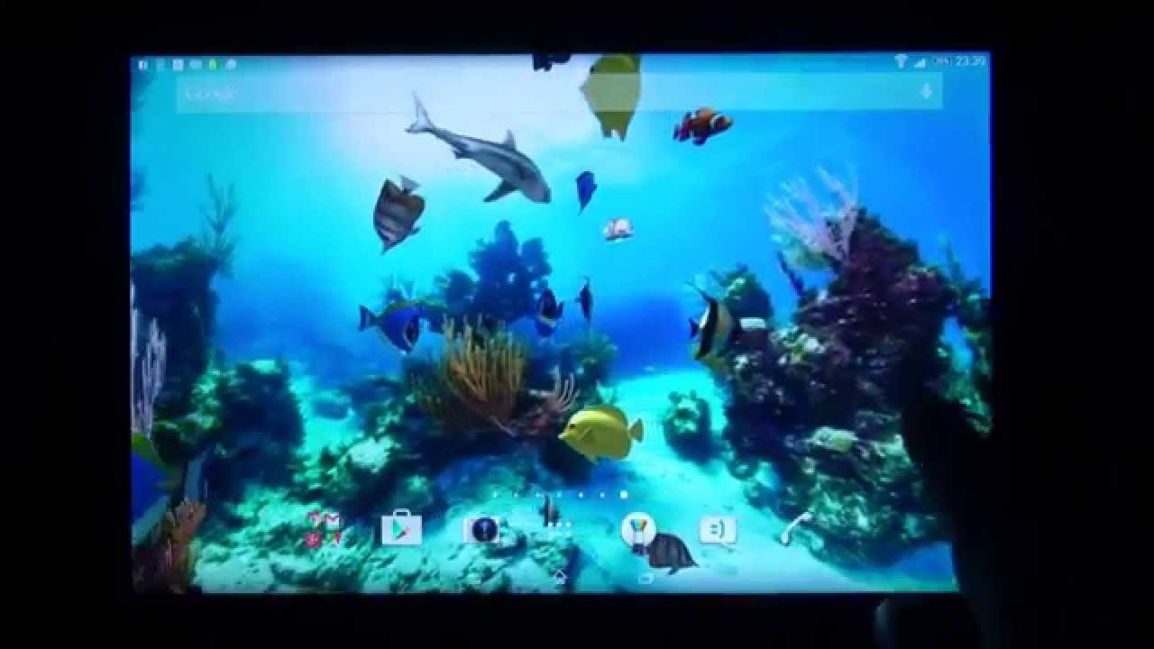 Led-backlit Lcd Display - HD Wallpaper 