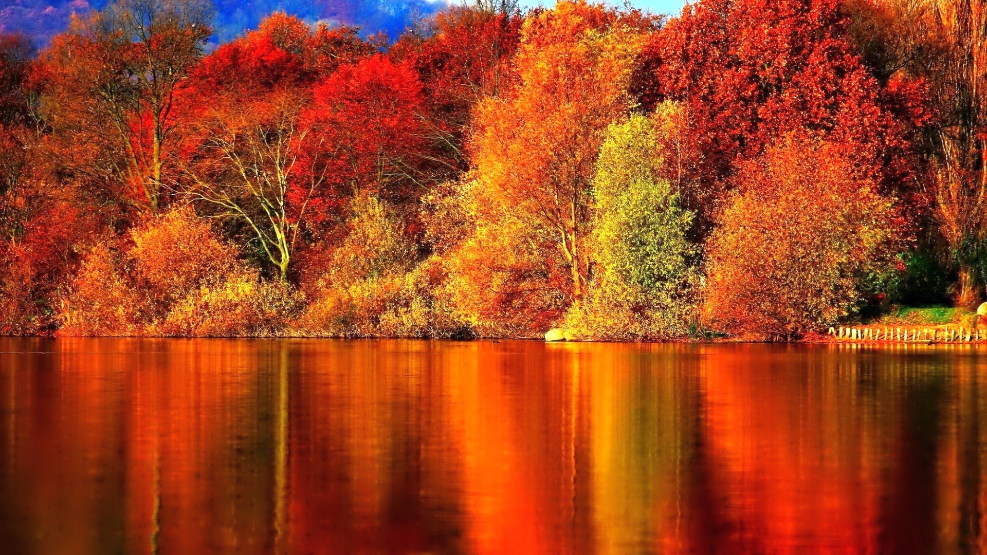 Fall Background - HD Wallpaper 